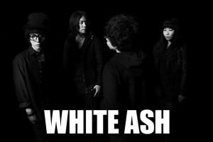 WHITE ASH1211